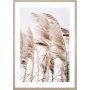 OBRAZ PAMPAS GRASS ON THE WIND NO.2